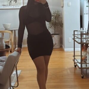 Oh Polly Black Mesh Mini Dress